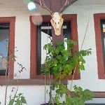 Hotel-restaurant Hackteufel Szálloda