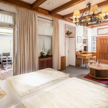 酒店 海克特夫餐厅酒店 海德堡