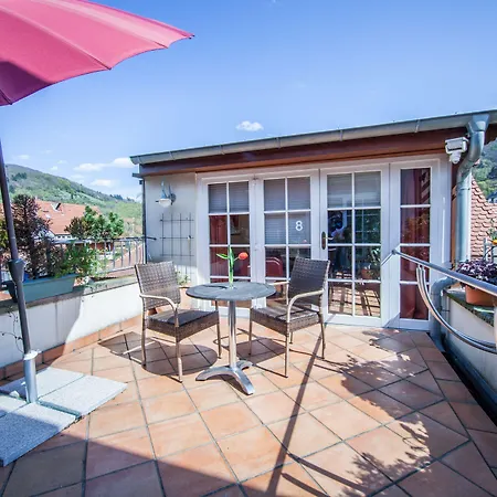 海克特夫餐厅酒店 海德堡