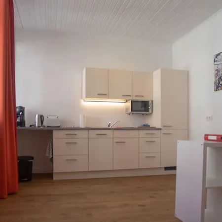 酒店 海克特夫餐厅酒店 海德堡